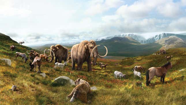 Ice Age Mammoth and Horse DNA Found in Soil Samples Left in Freezer