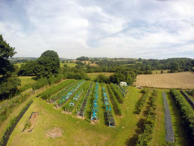 Furniture Field in Derbyshire, UK