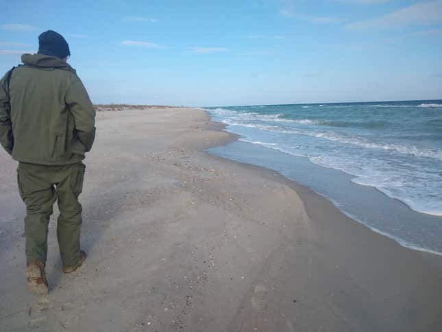 A staff member at Tuzlovski Lagoons National Park walks along the Black Sea coast near Prymorske, Ukraine. Numerous dead dolphins have washed ashore here.