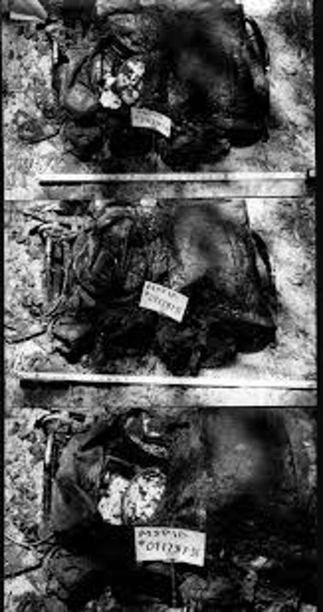 Image for article titled Before The Blair Witch Project hit theaters, a TV special reinforced its ingenious deception