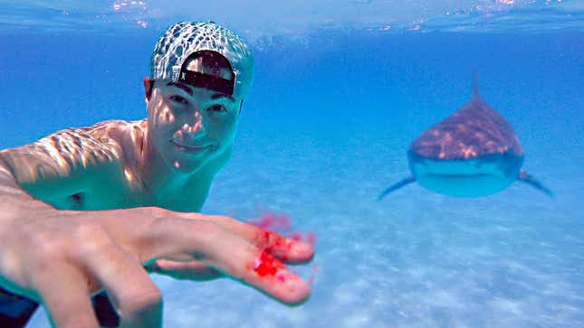 Imagen para el artículo titulado Un youtuber prueba en aguas infestadas de tiburones si pueden oler una gota de sangre humana