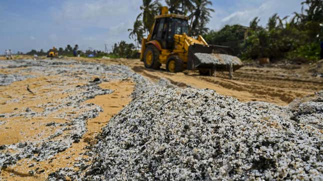 An earthmover removes debris washed ashore from the ship on May 29.