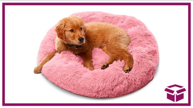Give your dog a comfy, supportive place to sleep when they get anxious. 