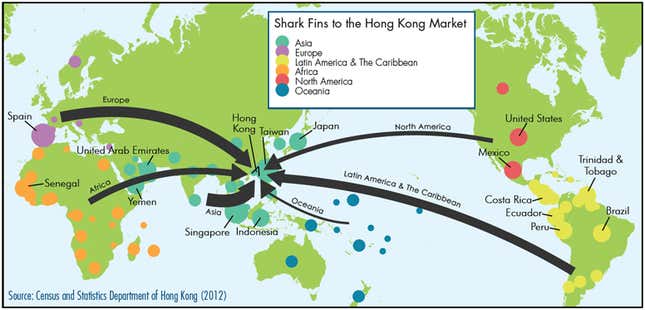 Exports to Hong Kong are about half the global shark fin trade.