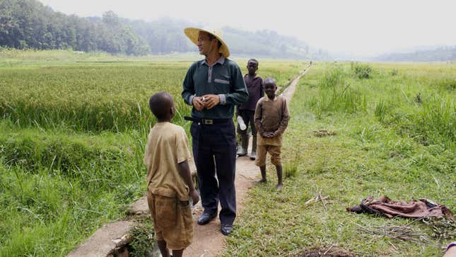 Chinese staff at an agricultural demonstration center in Rwanda.