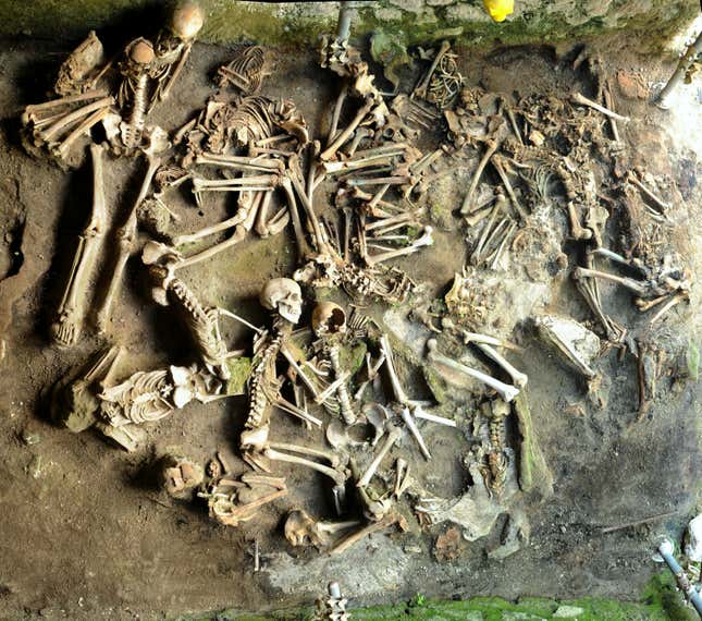 Skeletons.