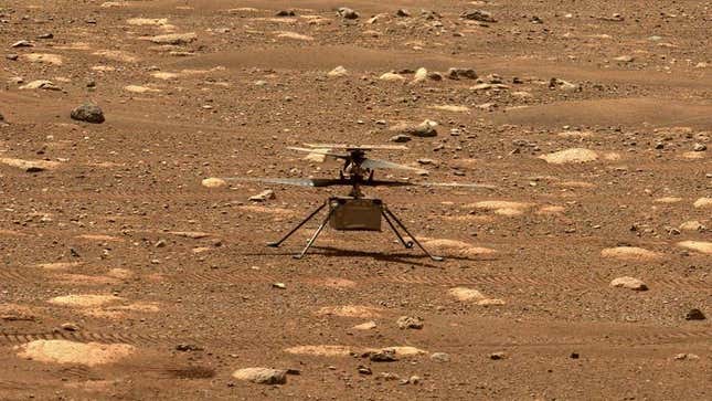 Imagen para el artículo titulado La NASA pierde el contacto con el helicóptero Ingenuity sobre Marte
