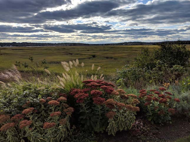 Image for article titled The Google Pixel 3 XL is a fantastic camera attached to a decent phone