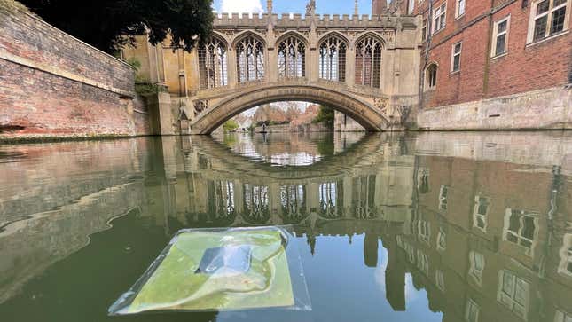 One of the artificial leaves floating on the River Cam near the Bridge of Sighs in Cambridge.