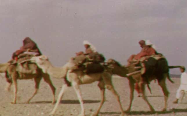 Camels crossing. A still from Quetta Damghan.