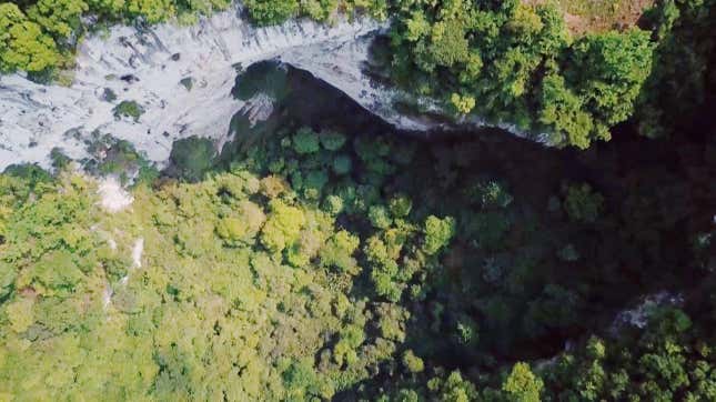 Imagen para el artículo titulado Descubren en China un gigantesco sumidero con su propio bosque