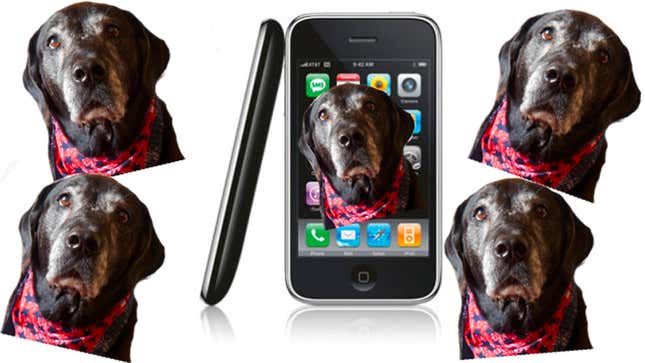 Image: Alex Cranz/Gizmodo