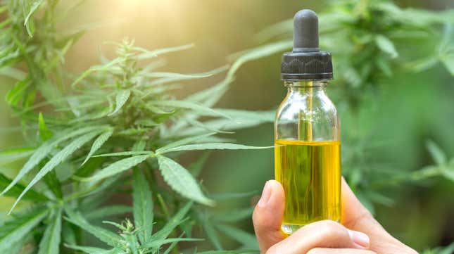 Image for article titled Another state bans CBD in food and drinks, citing FDA stance
