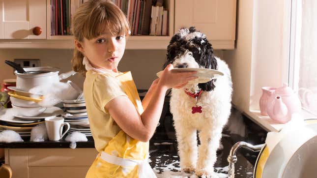 Image for article titled Last Call: How can pets contribute to household chores?