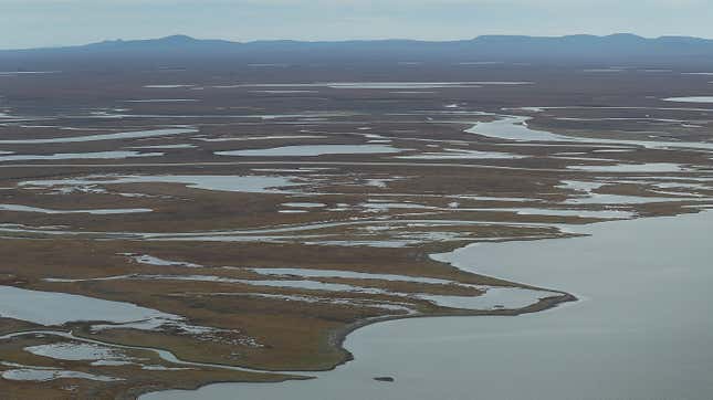 Alaska’s Coastal Permafrost Is More Vulnerable Than We Thought