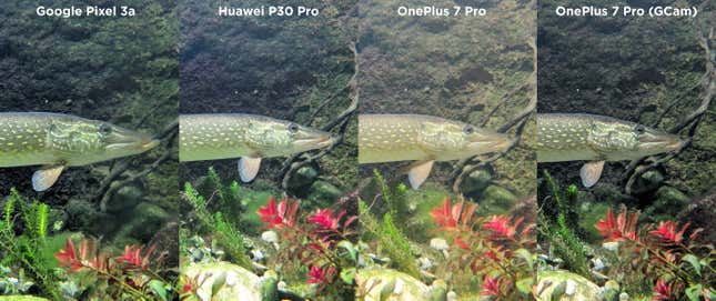 Imagen para el artículo titulado Hemos puesto a un inútil a sacar fotos con el Huawei P30 Pro, el OnePlus 7 Pro y el Pixel 3a. Este es el resultado