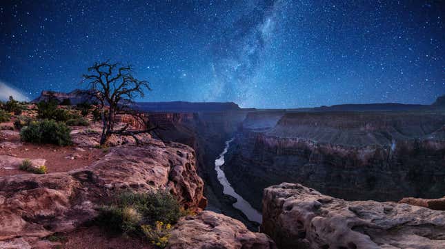 Image for article titled Virtually Stargaze at the Grand Canyon All Week