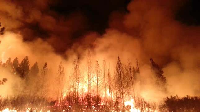 The Rim Fire in the Stanislaus National Forest, in August 2013