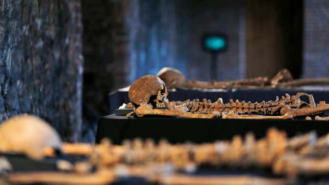 In this Wednesday, March 26, 2014 photo, some of the skeletons found by construction workers under central London’s Charterhouse Square are pictured. Archaeologists immediately suspected the bones came from a cemetery for victims of the bubonic plague that ravaged Europe in the 14th century. 