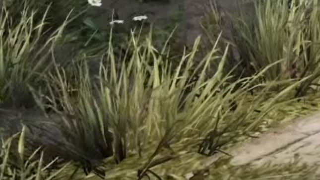 Image for article titled 10 Clumps Of Grass In Video Games