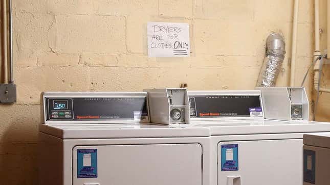 Image for article titled Cryptic New Laundry Room Rule Hints At Tale Of Bizarre Infraction