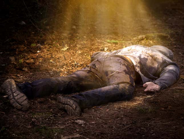 Image for article titled Dappled Sunbeam Wasted On Corpse In Woods