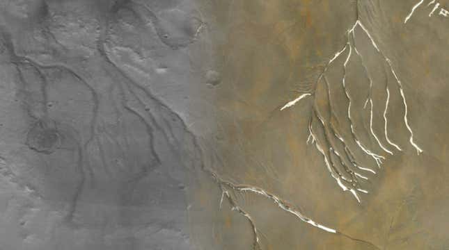 A collage image showing Martian valleys (in grey,) superimposed with channels on Devon Island (in tan), revealing striking similarities. 