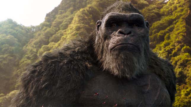 Imagen para el artículo titulado Son of Kong: una nueva película del universo de monstruos de Godzilla vs Kong está en desarrollo