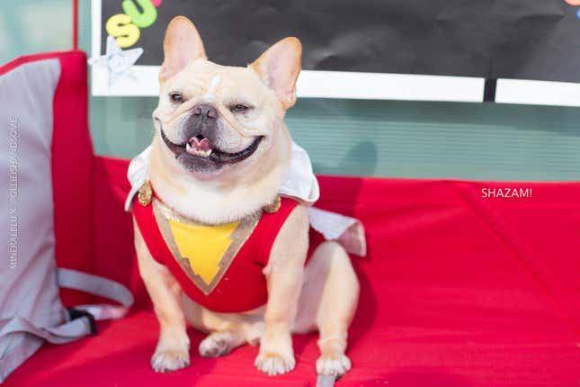 Image for article titled Comic-Con Was Cancelled, So Let's Remember The Good Times
