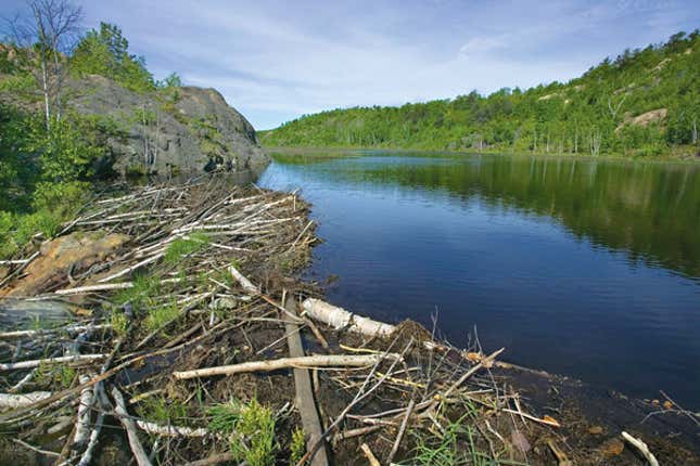 An incomplete dam aborted over "symmetry issues."