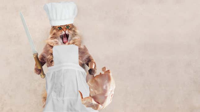 Image for article titled Last Call: Just tell me what you want to learn to cook