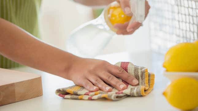Image for article titled Your Dishcloths Are Filthier Than You Think