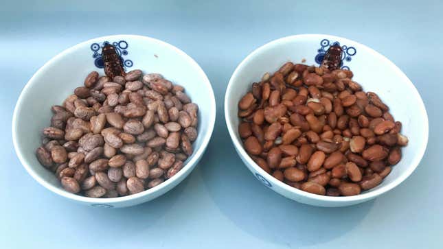 Image for article titled Are fancy beans worth buying?