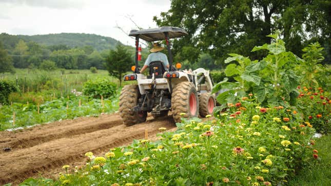 Farmer in tractor driving through rows of plants with scenic hilly background