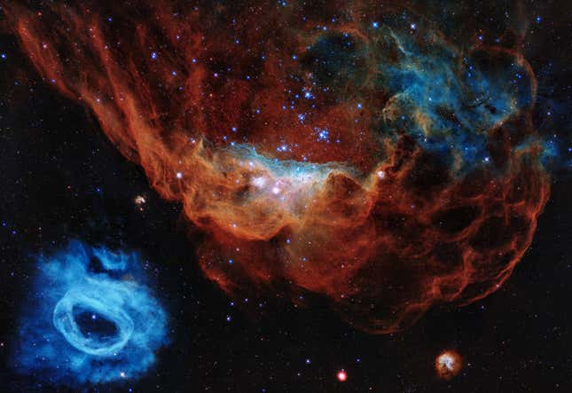 The giant red nebula (NGC 2014) and its smaller blue neighbor (NGC 2020).
