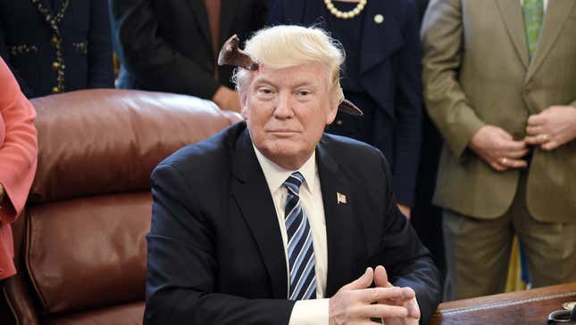 Image for article titled Calm, Measured Trump Hard At Work After Freak Accident Leaves Him With Railroad Spike Lodged In Skull