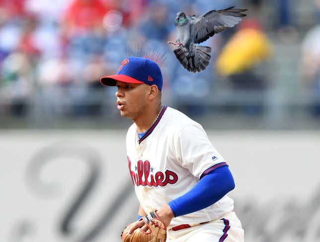 Image for article titled New Era Introduces New Spiked Baseball Caps To Keep Pigeons From Landing On Players’ Heads
