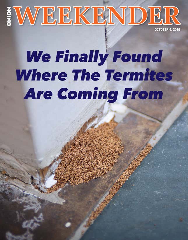 Image for article titled We Finally Found Where The Termites Are Coming From