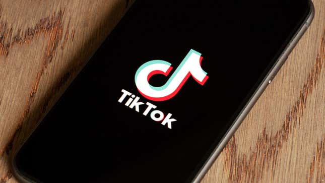 Image for article titled What Parents Need to Know About TikTok&#39;s Latest Privacy Controls