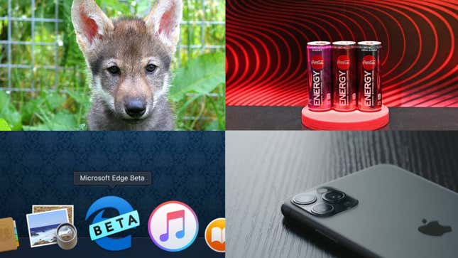 Wolf Puppies, Coke Energy and the Last Vestige of Internet Explorer: Best Gizmodo Stories of the Week