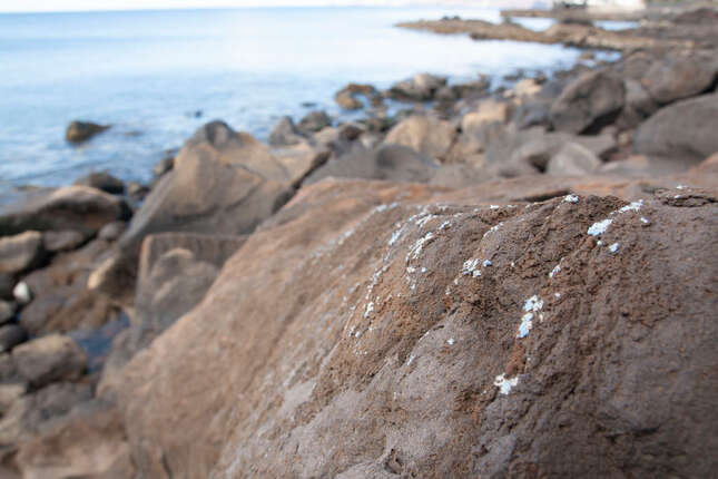 Plasticrust is a form of plastic pollution not yet seen before on Earth’s coastlines