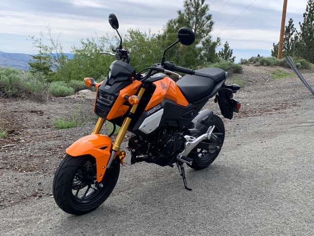 Image for article titled The 2020 Honda Grom: The Jalopnik Review