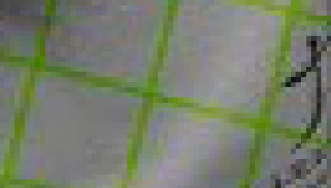 Imagen para el artículo titulado Esta alucinante ilusión óptica hace que una foto en blanco y negro parezca tener color