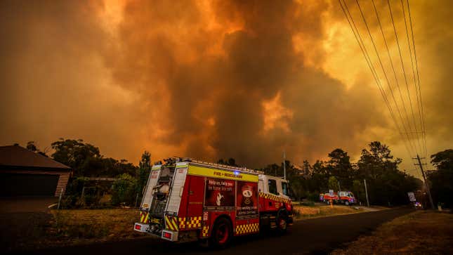 Image for article titled How to Help Those Affected By the Australian Wildfires