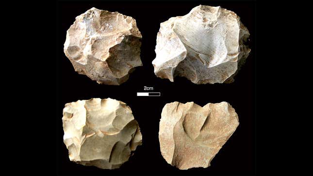 Stone tools from Dhaba locality, India.