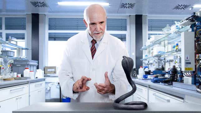 Image for article titled Scientists Announce They Have Probably Successfully Taught Sign Language To Snakes