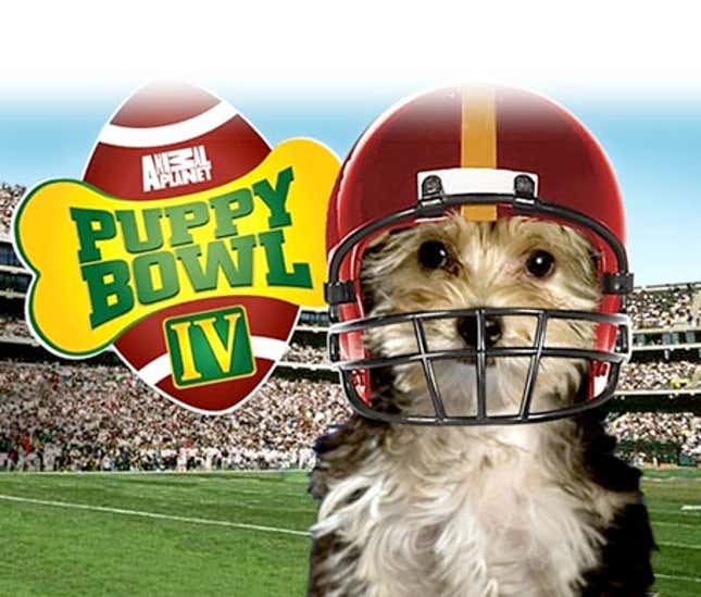 Image for article titled Puppy Bowl Highlights