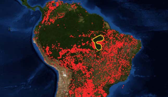 The yellow outlined area shows where the Xingu Indigenous Park sits, as well as the lands of the Kayapó. There were fewer fires (indicated by red dots) burning there as of late August.