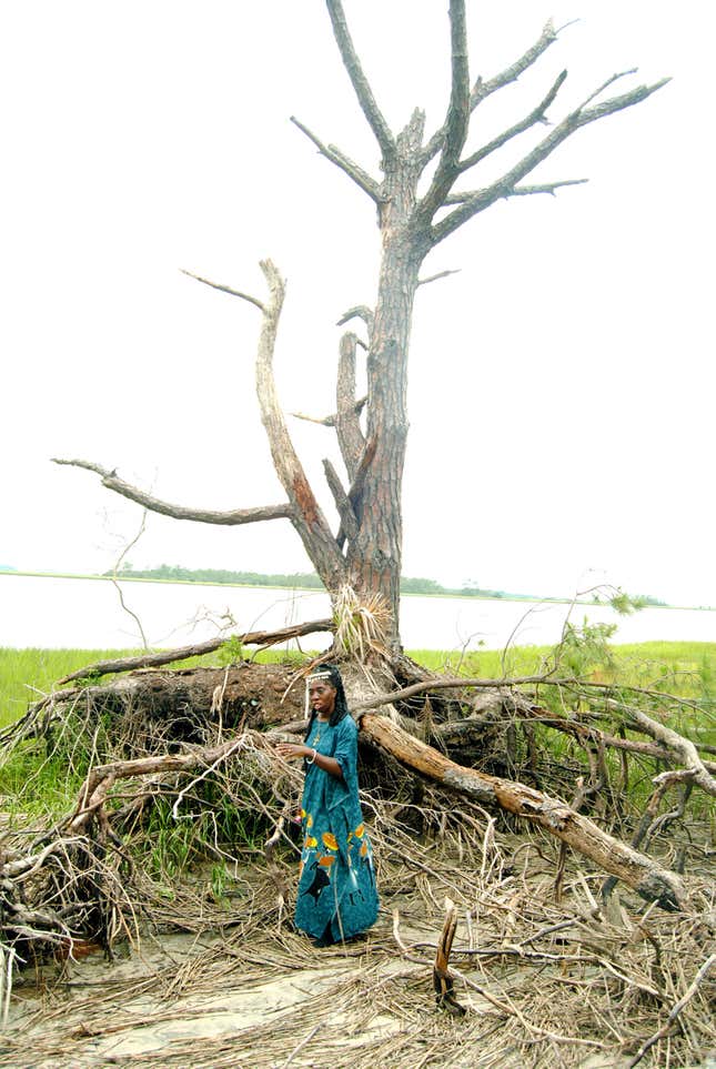 Image for article titled Gullah-Geechee Community: Hear Us On Climate Change