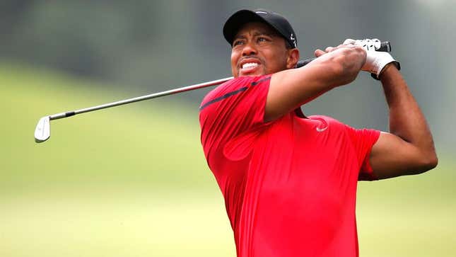 Image for article titled Tiger Woods Developing Swing That Doesn’t Send Pain Shooting Through Every Inch Of Body